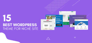 Best WordPress Theme For Niche Site