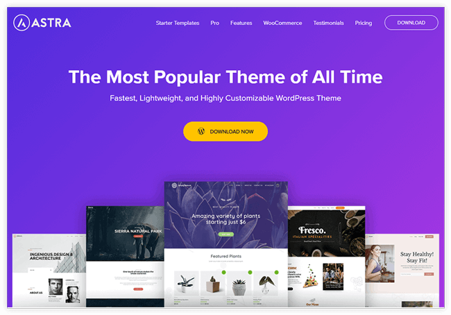 Astra - best wordpress theme