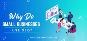 Why Do Small Businesses Use SEO